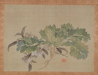 A Tuberose, 1851